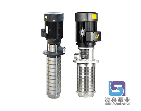 CDLKF1-330/33|浸入式多级离心泵